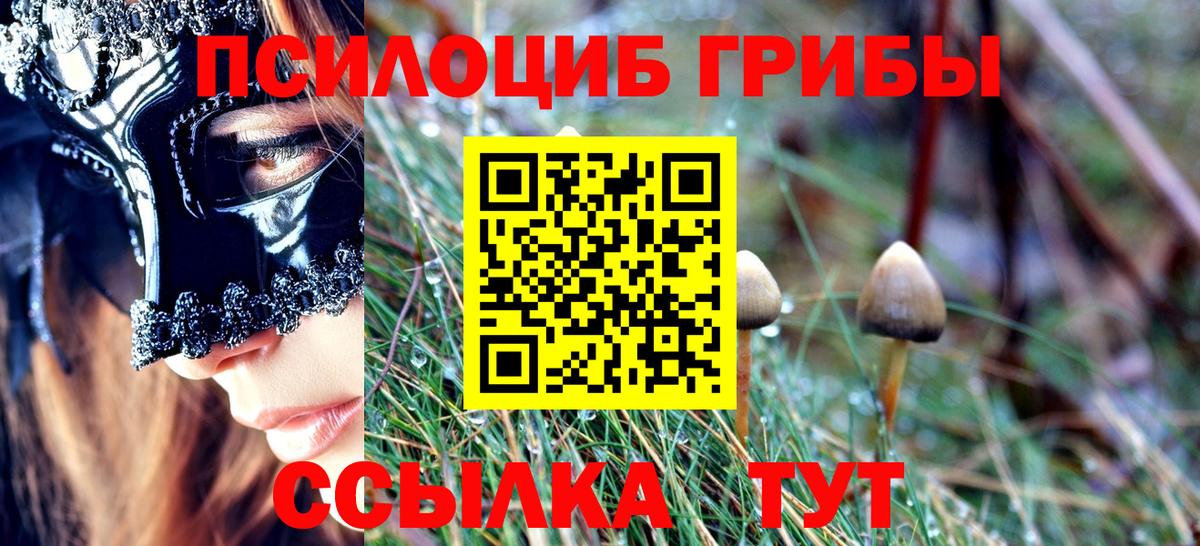 Псилоцибиновые грибы MAGIC MUSHROOMS Озёрск
