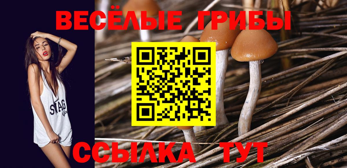 хочу наркоту  Галлюциногенные грибы GOLDEN TEACHER  Вход с VPN  Озёрск  Галлюциногенные грибы ЛСД 